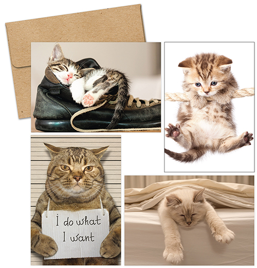 Kitty Thoughts Notecards 20CT