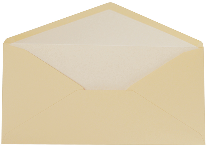 Camel Latte DL Tissue Lined Envelope 25CT
