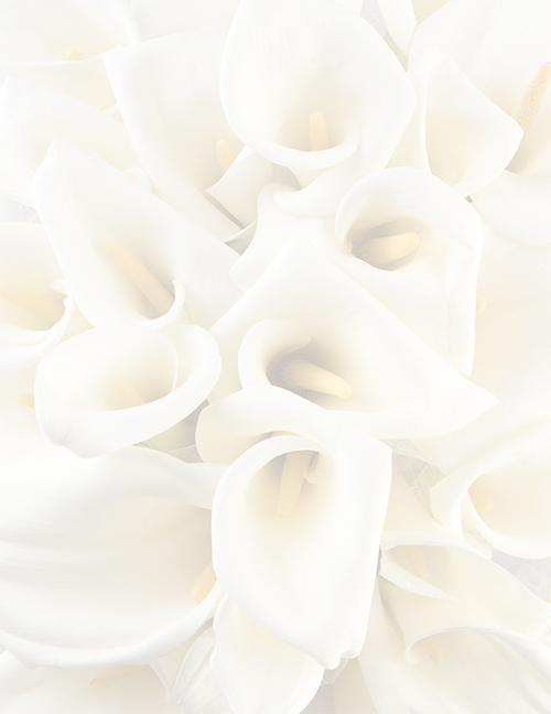 White Calla Lilies Letterhead 80CT