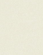 Ivory Faux-Parchment Certificate 50CT
