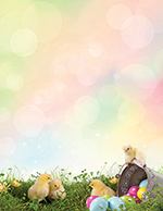 Easter Chicks and Eggs Letterhead 80CT