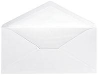 White DL Tissue Lined Envelope 25CT