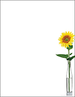 Sunflower Day Letterhead, 80 CT