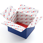 Shipping Box Patriotic 2PK