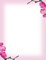 Pink Orchids Letterhead 80CT