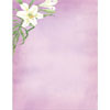 972896 - Easter Lily