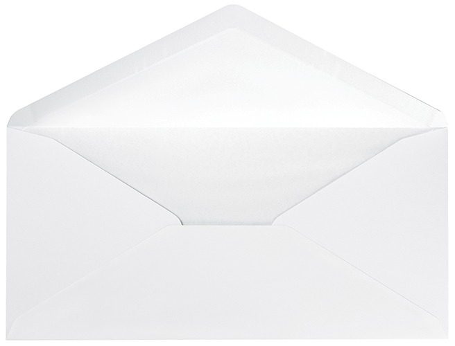 White DL Tissue Lined Envelope 25CT