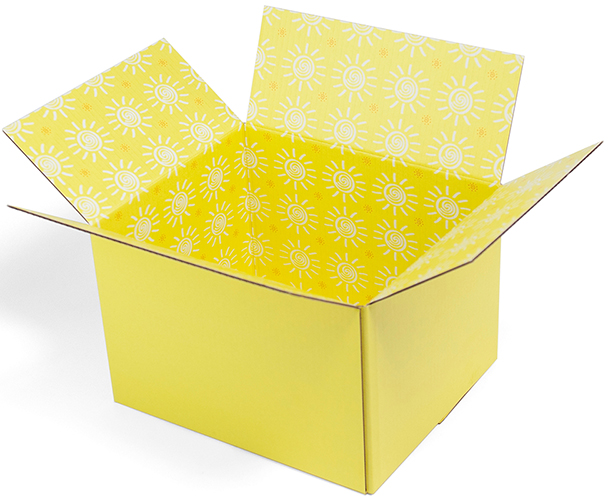 Shipping Box, Sunshine, 2PK