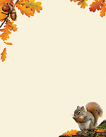 Acorn Letterhead 80CT