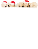 Santa Puppies Letterhead 80CT