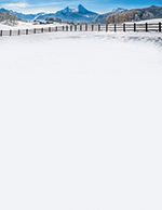 Winter Fence Letterhead 80CT