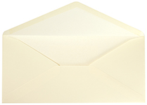 Light Cream DL Tissue Lined Envelope 25CT