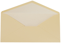 Camel Latte DL Tissue Lined Envelope 25CT