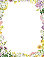 Flower Meadows Letterhead 80CT