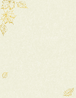 Gold Foil Parchment Leaves Foil Letterhead 40CT