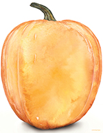 Big Pumpkin Letterhead 80CT
