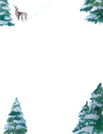 Forest Scene  Hand Illustrated Holiday Letterhead 80 CT
