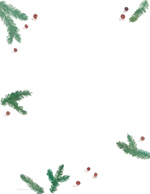 Pines And Berries  Hand Illustrated Holiday Letterhead 80 CT