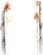 Fall Birch Hand Illustrated Letterhead 80 CT