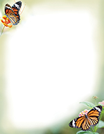 Monarch Butterflies Letterhead, 50 CT