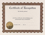 Recognition Stock Certificate 6CT