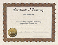 Training Stock Certificate 6CT