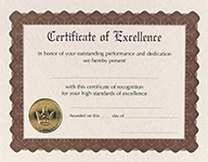 Excellence Stock Certificate 6CT