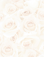 Blush Roses Letterhead 80CT